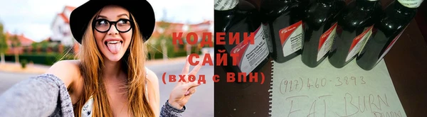 прущие грибы Алексеевка