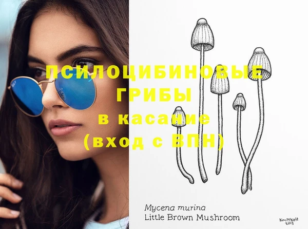 прущая мука Абдулино