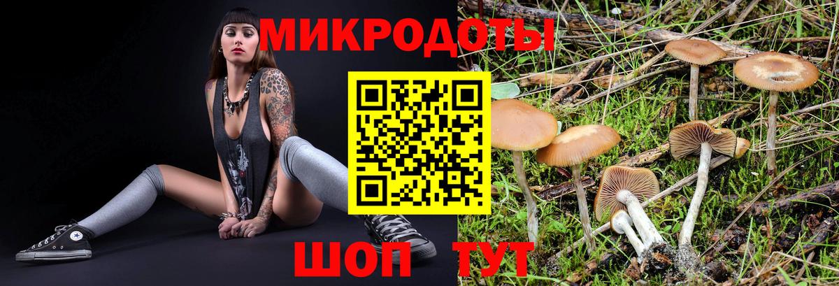 Галлюциногенные грибы MAGIC MUSHROOMS Сорочинск