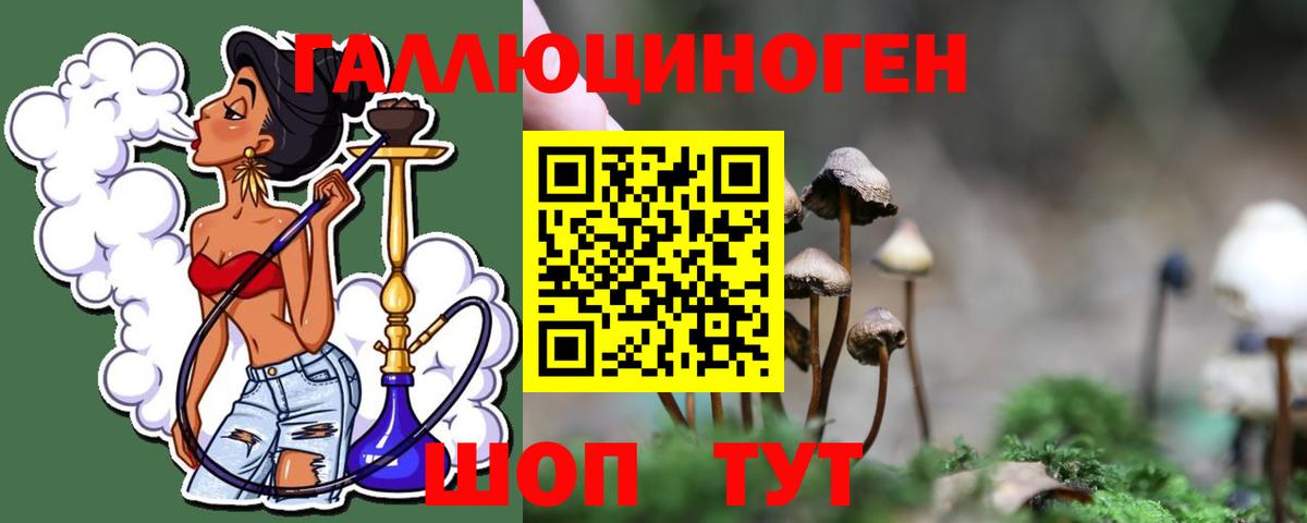 Сорочинск  Псилоцибиновые грибы прущие грибы  Псилоцибиновые грибы MAGIC MUSHROOMS  Вход с VPN 